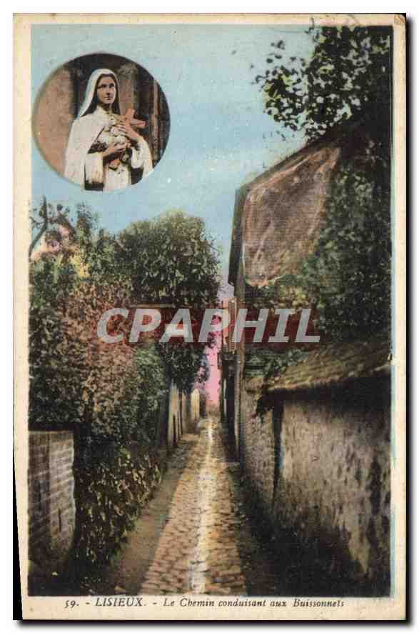 CPA Lisieux Le Chemin conduisant aux Baissonnels 