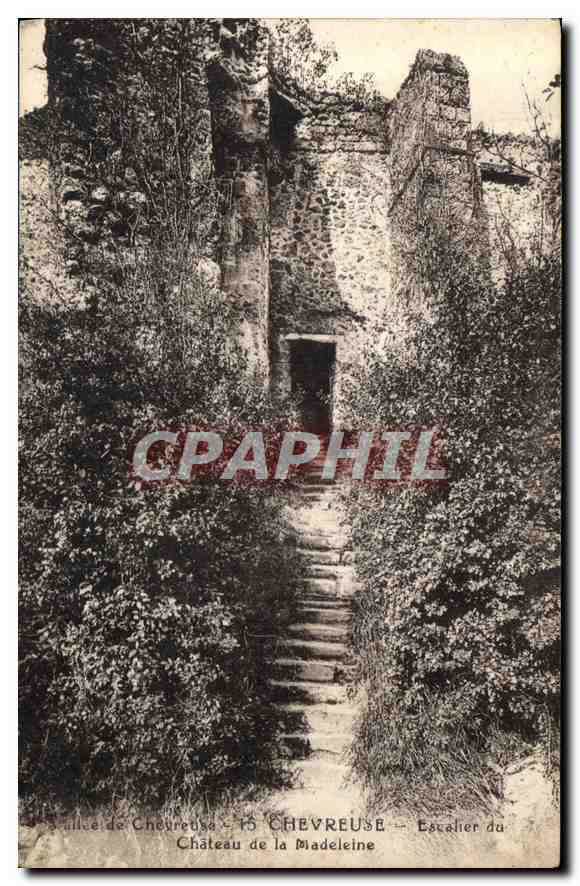 CPA Chevreuse Escalier du Chateau de la Madeleine 