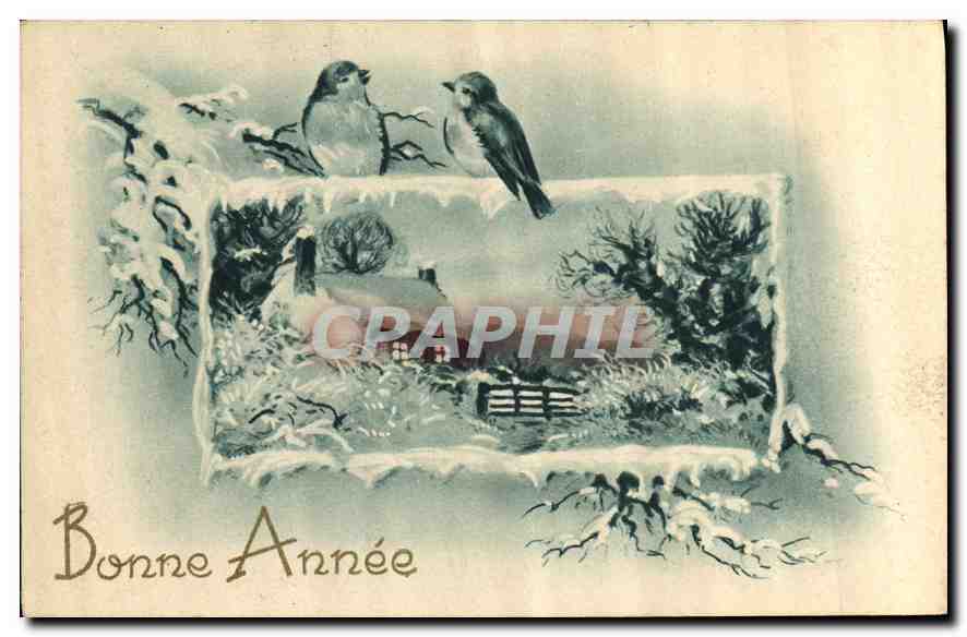 CPA Bonne Annee Oiseaux