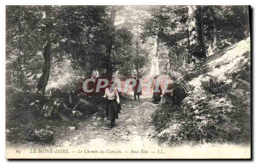 CPA Le Mont Dore Le Chemin du Capucin Sous Bois 
