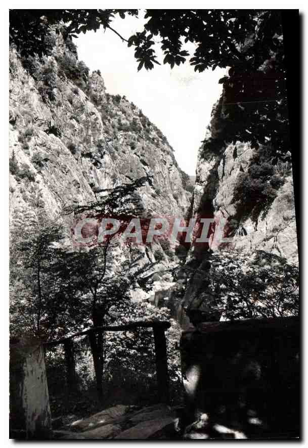 CPA Amelie les Bains PO Gorges du Mondony 