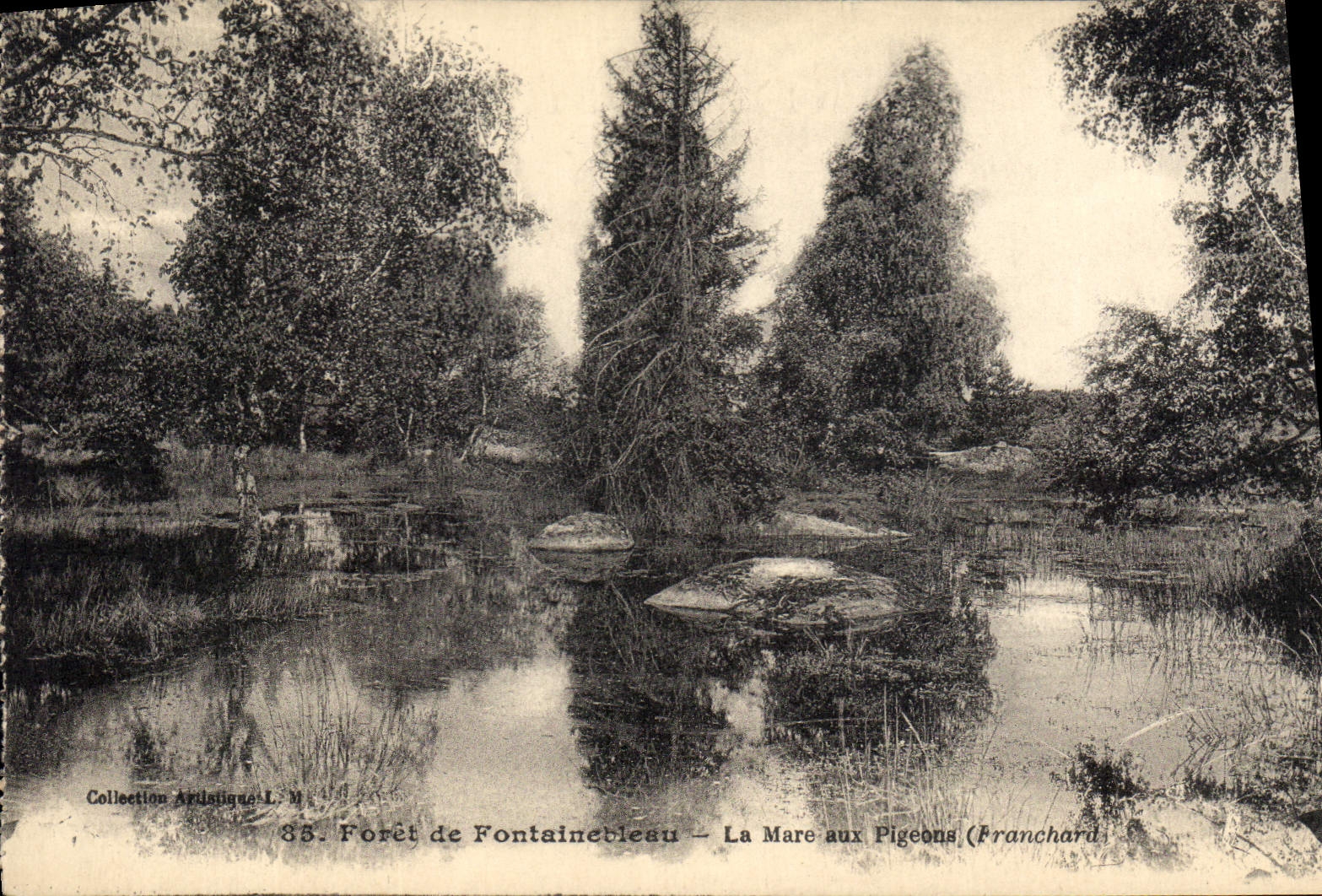 Forêt de Fontainebleau — La Mare aux Pigeons (Franchard) — Collection Artistique L.M. n°85