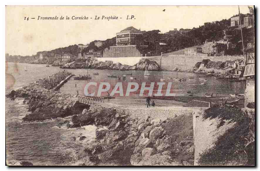 CPA Promenade de la Corniche Le Prophete 