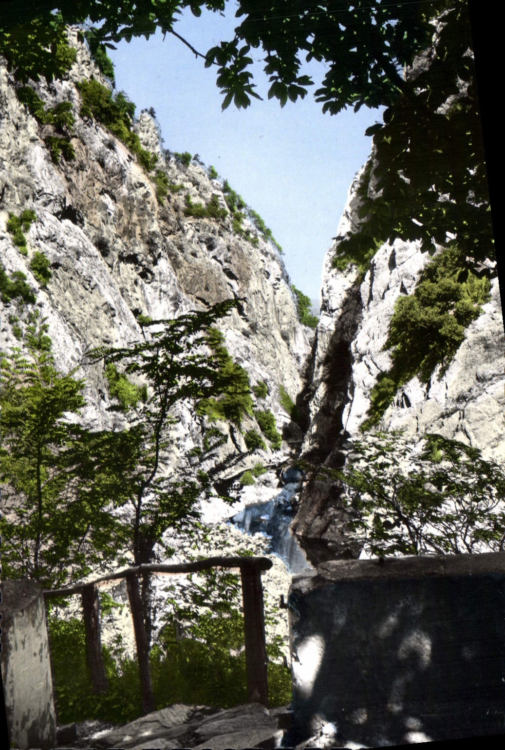 CPA Amelie les Bains PO Perle des Pyrenees Les Gorges du Mondony 