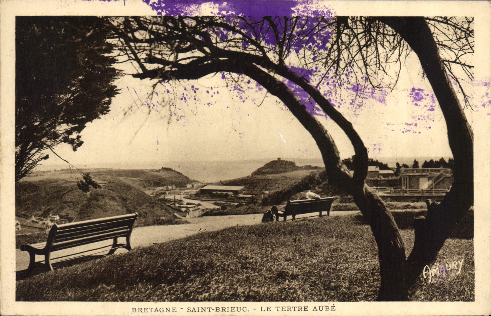 Bretagne - Saint-Brieuc - Le Tertre Aubé — éditeur Apinury