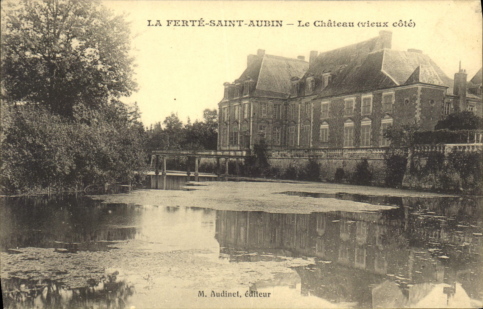 CPA La Ferte Saint Aubin Le Chateaux vieux cote 