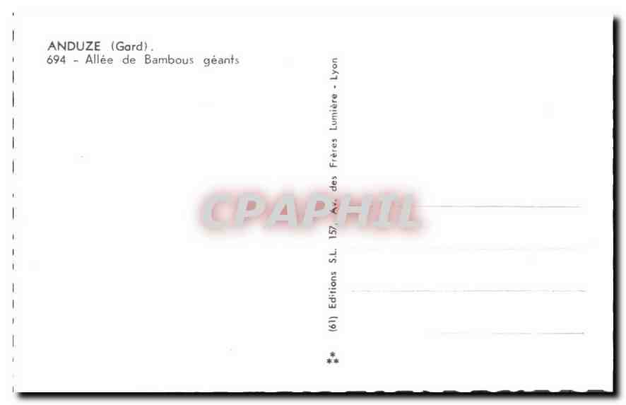 CPM Anduze Gard Allee de Bambous geants  — Rückseite