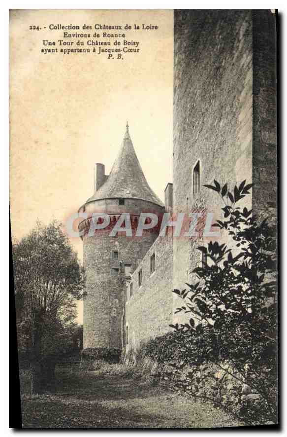 CPA Collection des Chateaux de la Loire Environs de Roanne une tour du Chateau de Boisy ayant appart