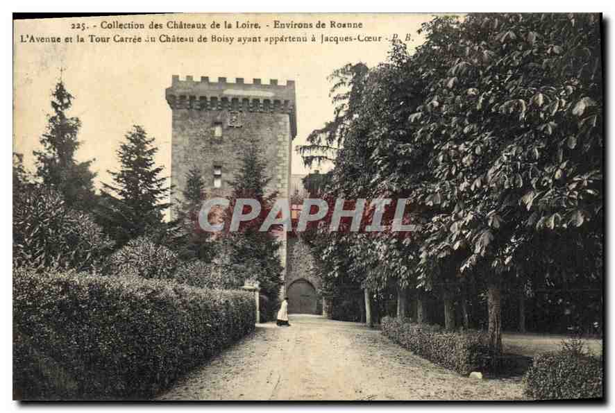 L'Avenue et la Tour Carrée au Château de Boisy — Environs de Roanne — Collection des Châteaux de la Loire — D. B.