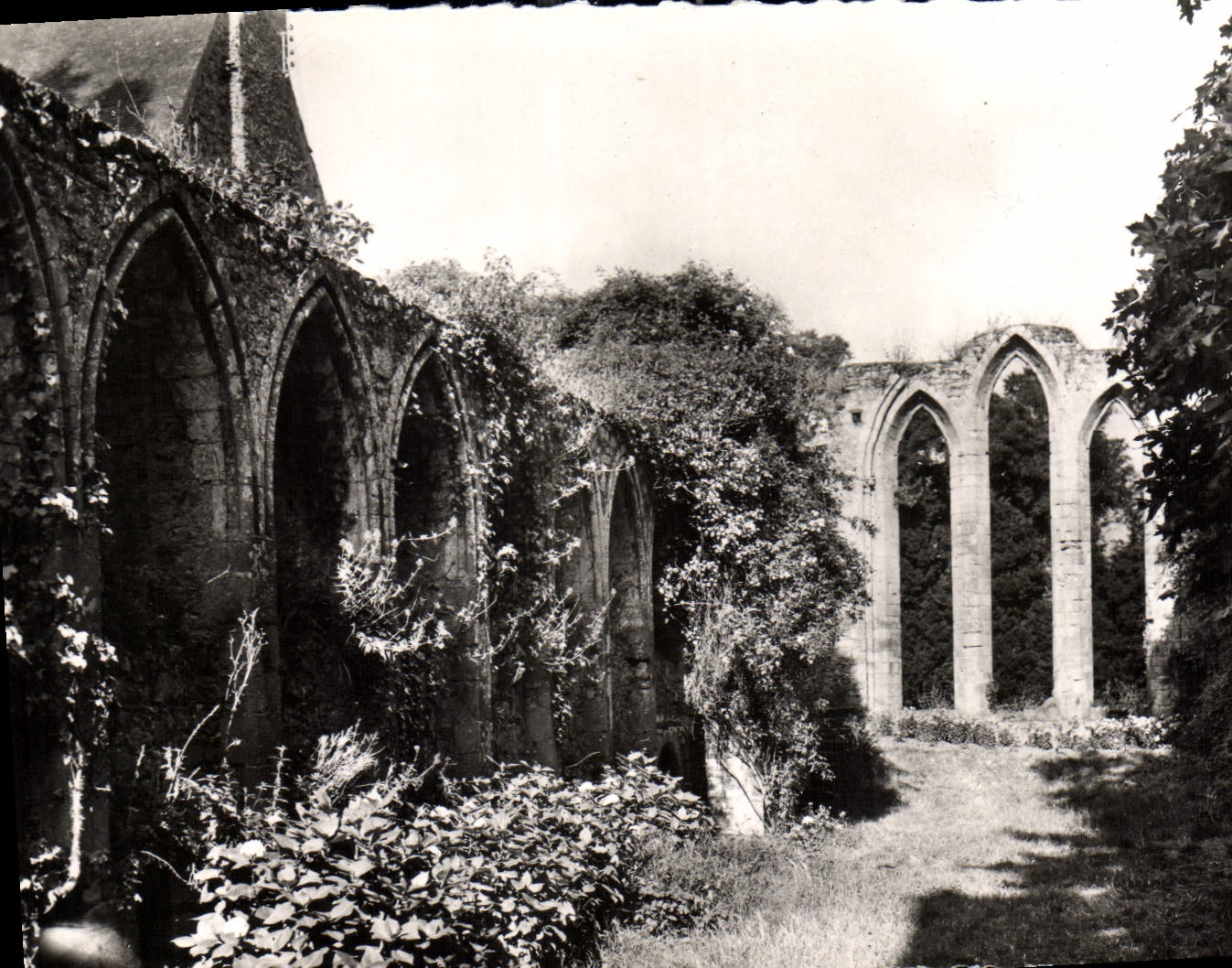 CPA Kerity Paimpol C du N Abbaye de Beauport le Refectoire 