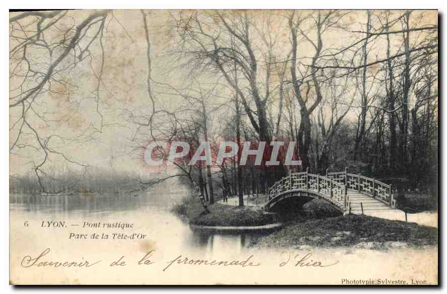 CPA Lyon Pont rustique Parc de la Tete d'Or 