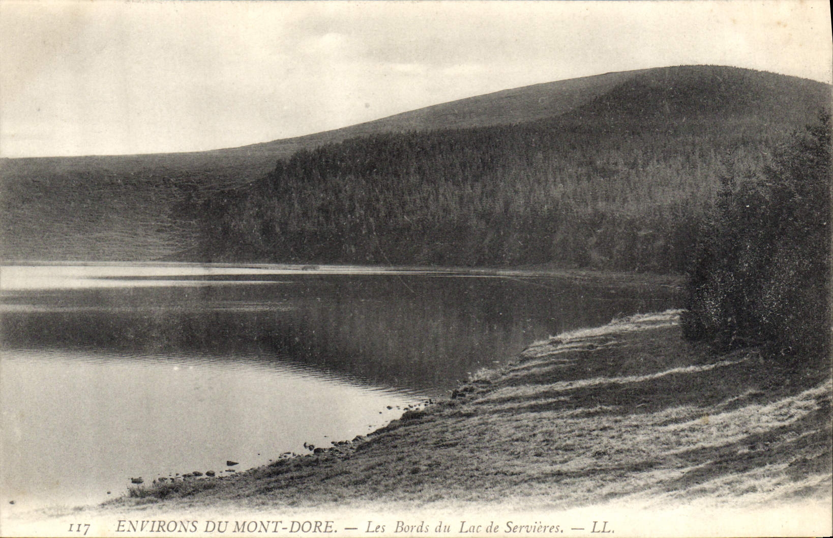 CPA Environs du Mont Dore les Bords du Lac de Servieres 