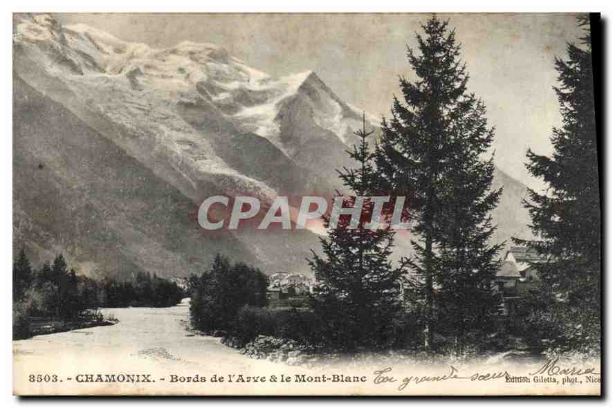 CPA Chamonix Bords de l'Arve et le Mont Blanc 