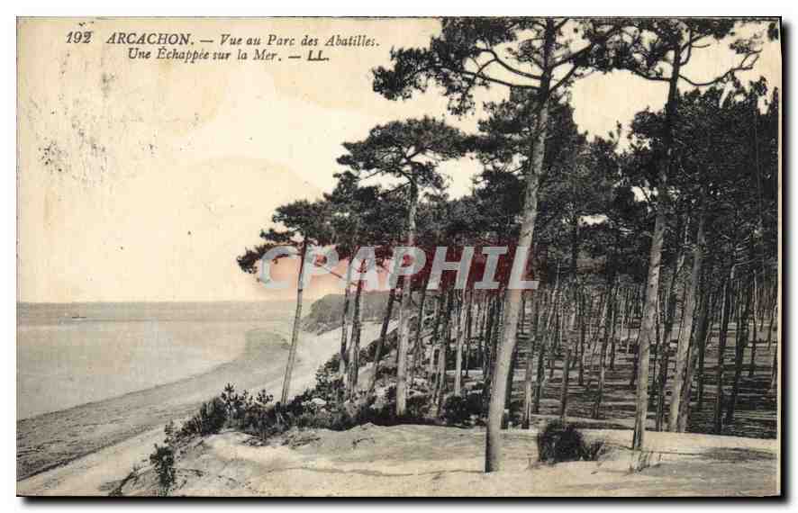Arcachon — Vue au Parc des Abatilles. Une Échappée sur la Mer. — LL.