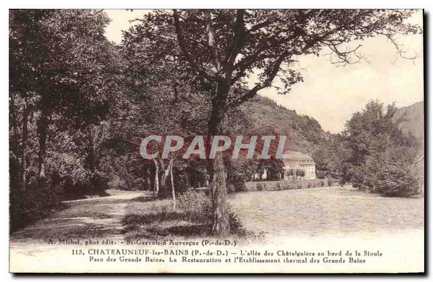 CPA Chateauneuf les Bains P de D L'alee des Chatalgniers au bord de Sioule 