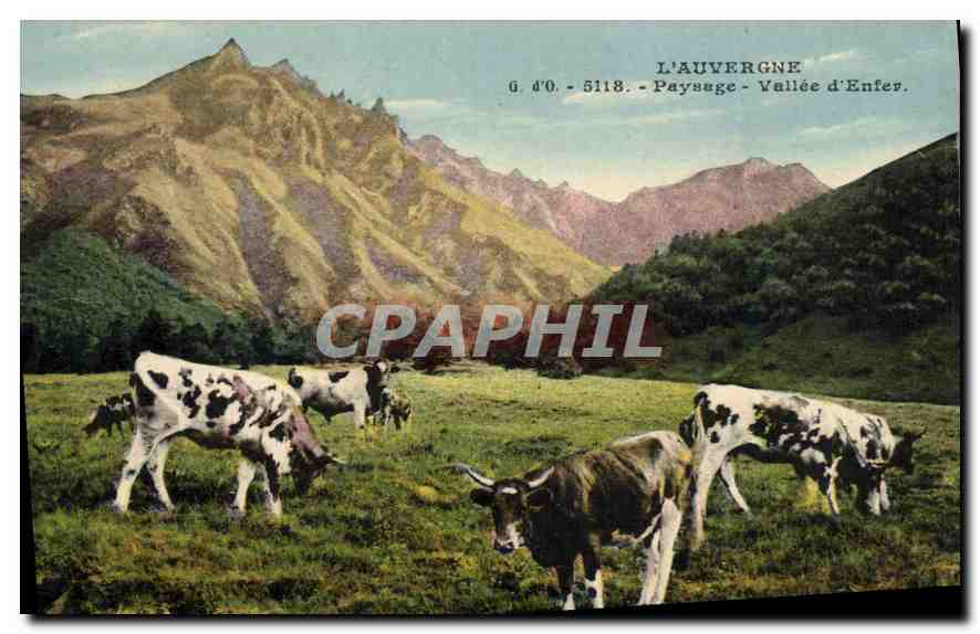 CPA l'Auvergne Paysage Vallee d'Enfer Vaches