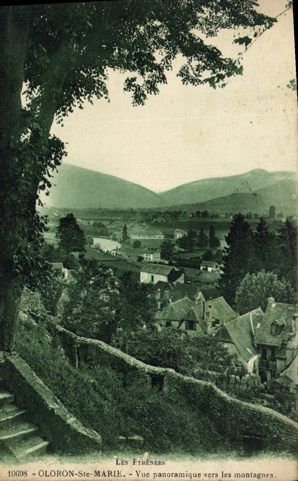 CPA Les Etrenees Oloron Ste Marie Vue panoramique vers les montagnes 
