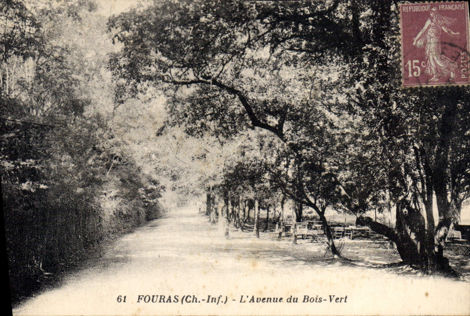 CPA Fouras Ch Inf L'Avenue du Bois Vert 