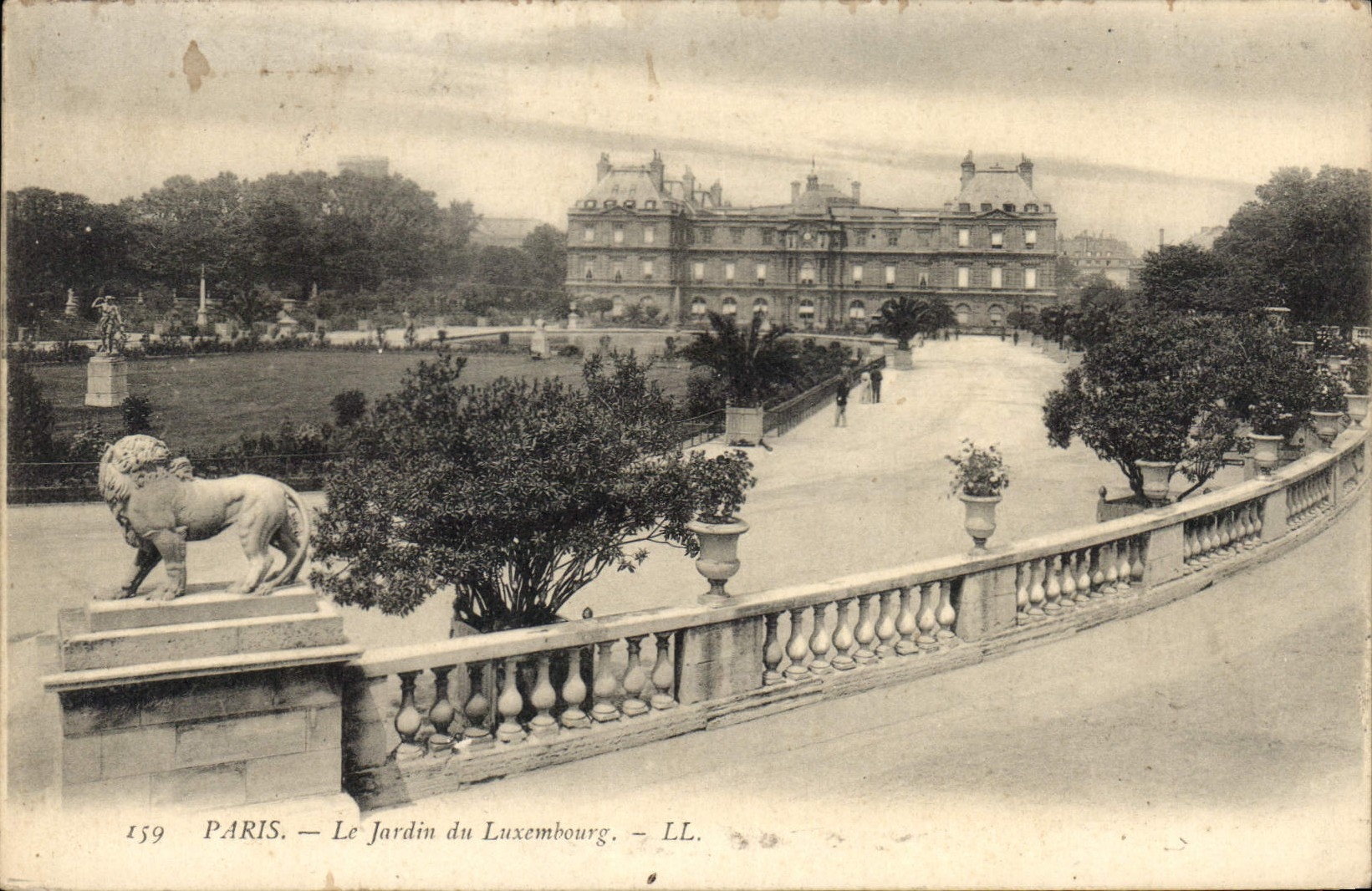CPA Paris Le Jardin du Luxembourg 