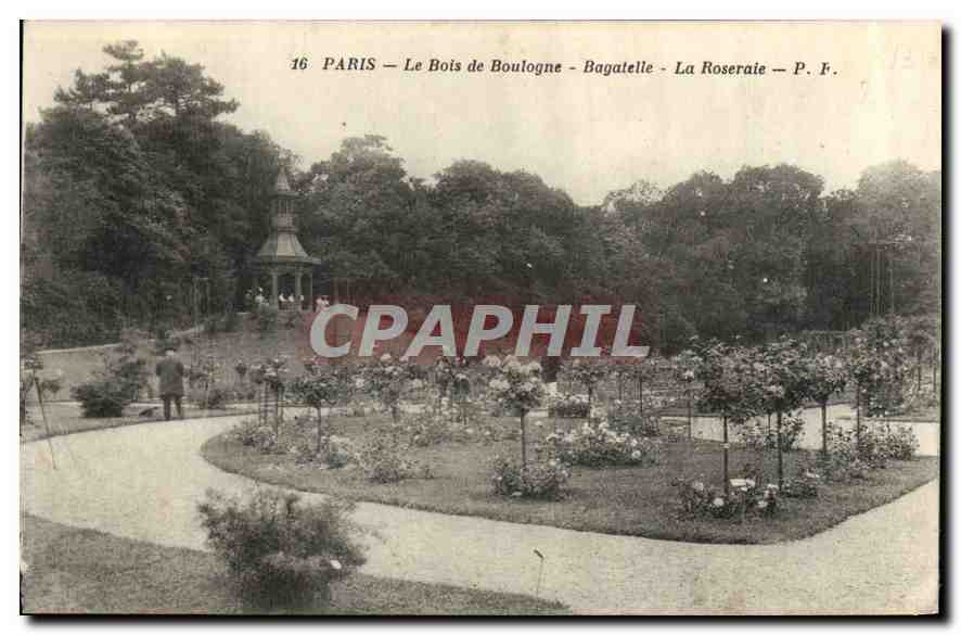 CPA Paris Le Bois de Boulogne Bagatelle La Roseraie 