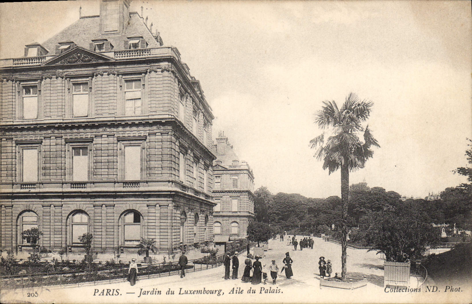 CPA Paris Jardin du Luxembourg Aile du Palais 