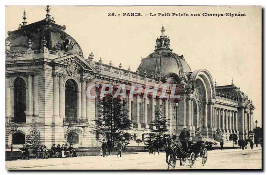 CPA Paris Le Petit Palais aux Champs Elysees 