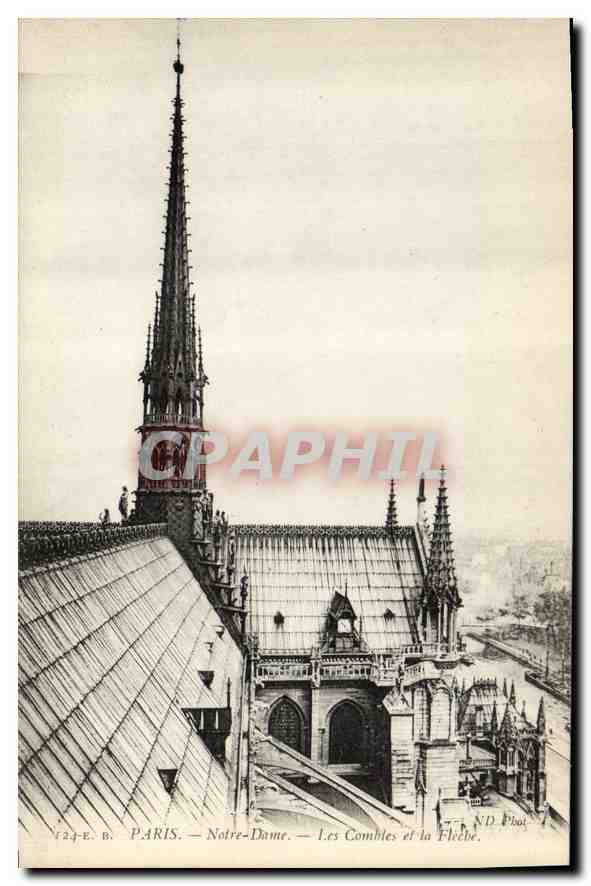 CPA Paris Notre Dame Les Combles et la Fleche 