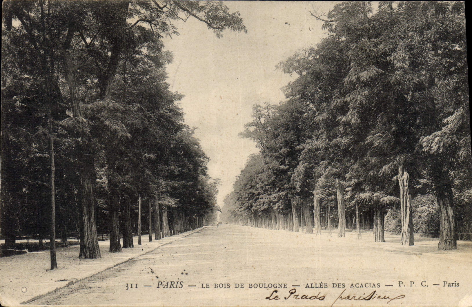 CPA Paris Le Bois de Boulogne Allee des Acacias 