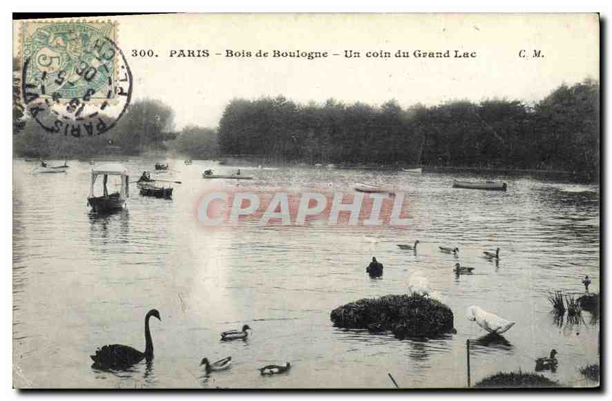 CPA Paris Bois de Boulogne Un coin du Grand Lac 