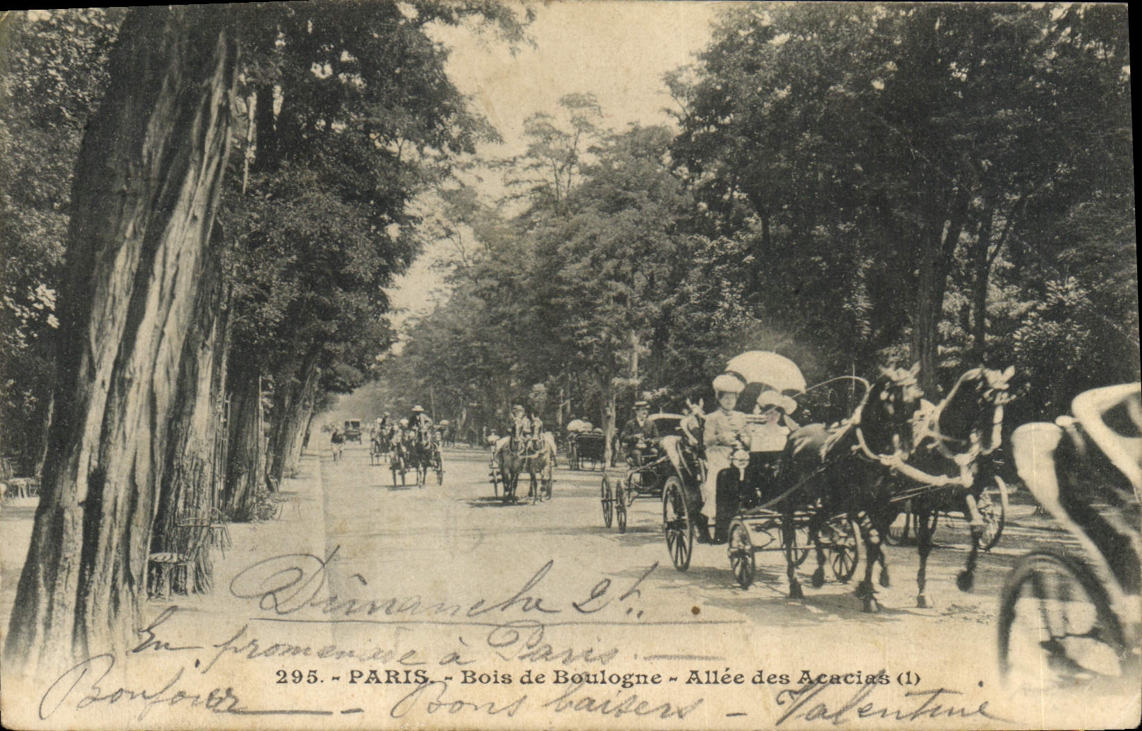 Bois de Boulogne - Allée des Acacias — promenade à Paris — éditeur Bonfouet, n°295