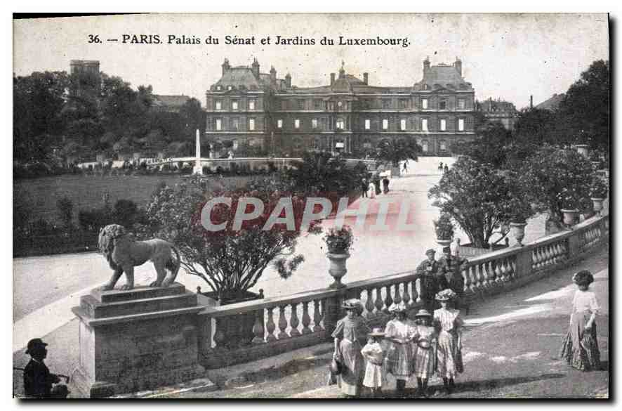CPA Paris Palais du Senat et Jardin du Luxembourg 