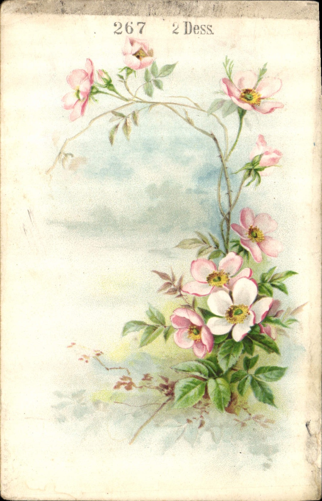 CPA Fleurs