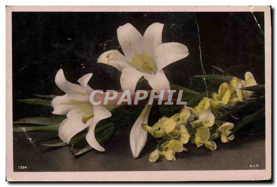CPA Fleurs