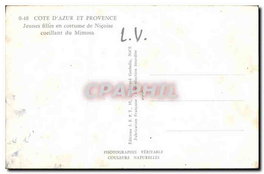 CPA Cote d'Azur et Provence Jeunes filles en costume de Nicoise cueilland du Mimosa  — Verso