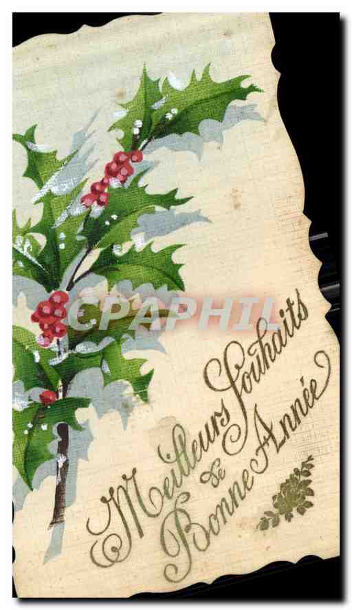 CPA Meilleurs Souhaits Bonne Annee Fleurs