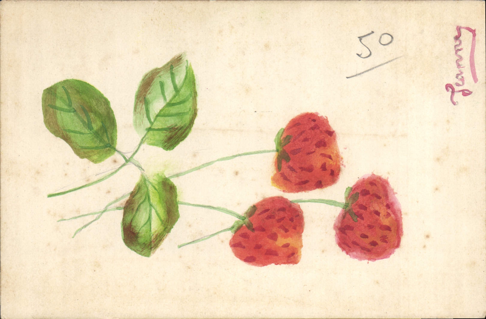 CPA Fraises