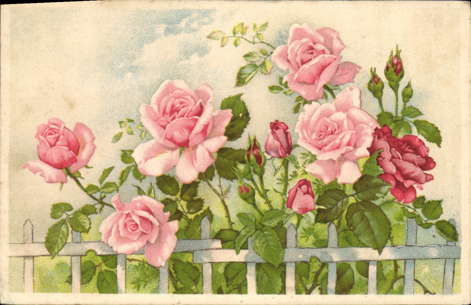 CPA Fleurs