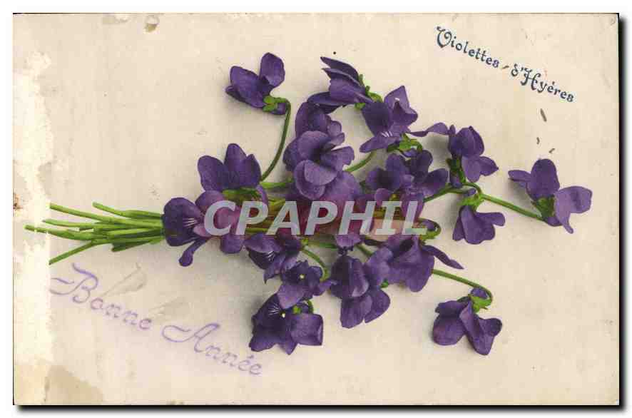 CPA Bonne Annee fleurs