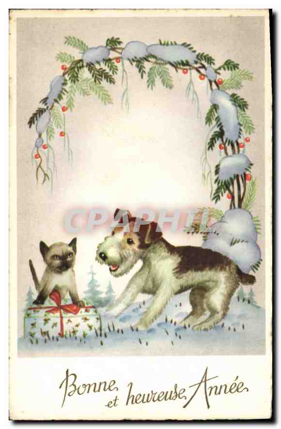 CPA Bonne et heureuses Annee Chien Chat