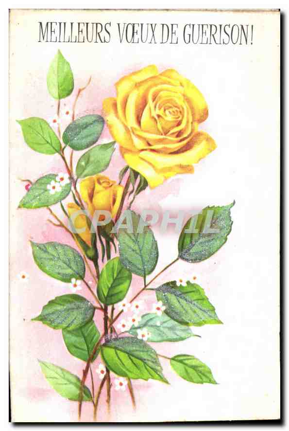 CPA Meilleurs Voeux de Guerison Fleurs