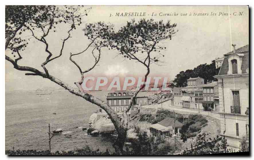 CPA Marseille La Corniche vue a Travers Les Pins 