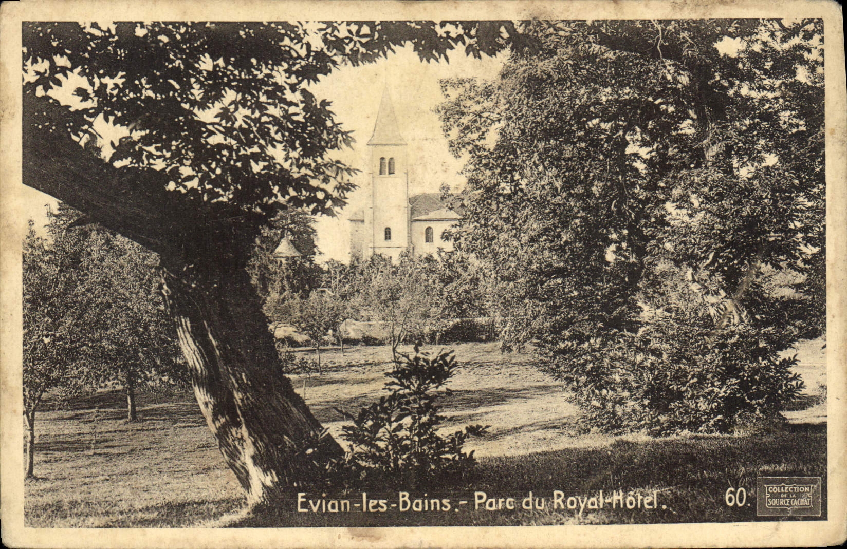 CPA Evian les Bains Parc du Royal Hotel 
