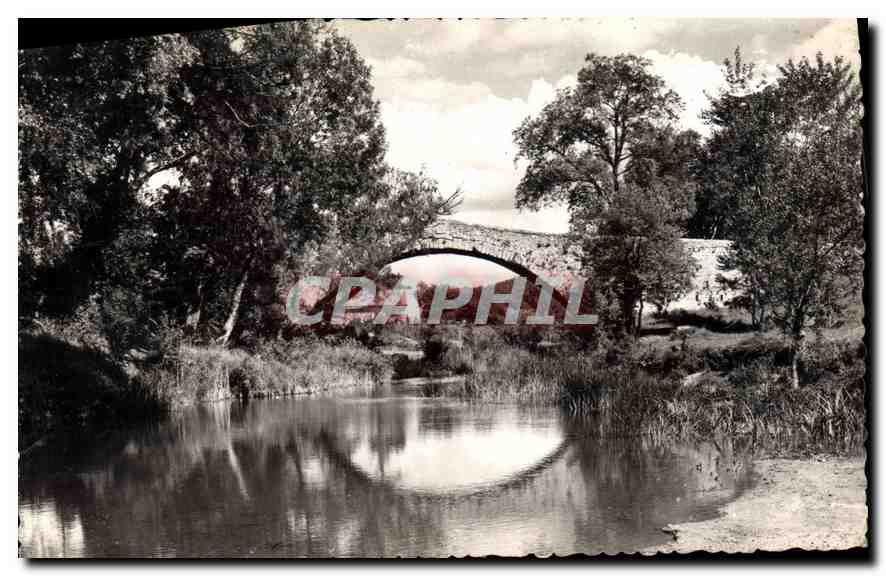Pont de Bayeuse — Environs d'Aix-en-Provence — Éditeur : CPAPHIL
