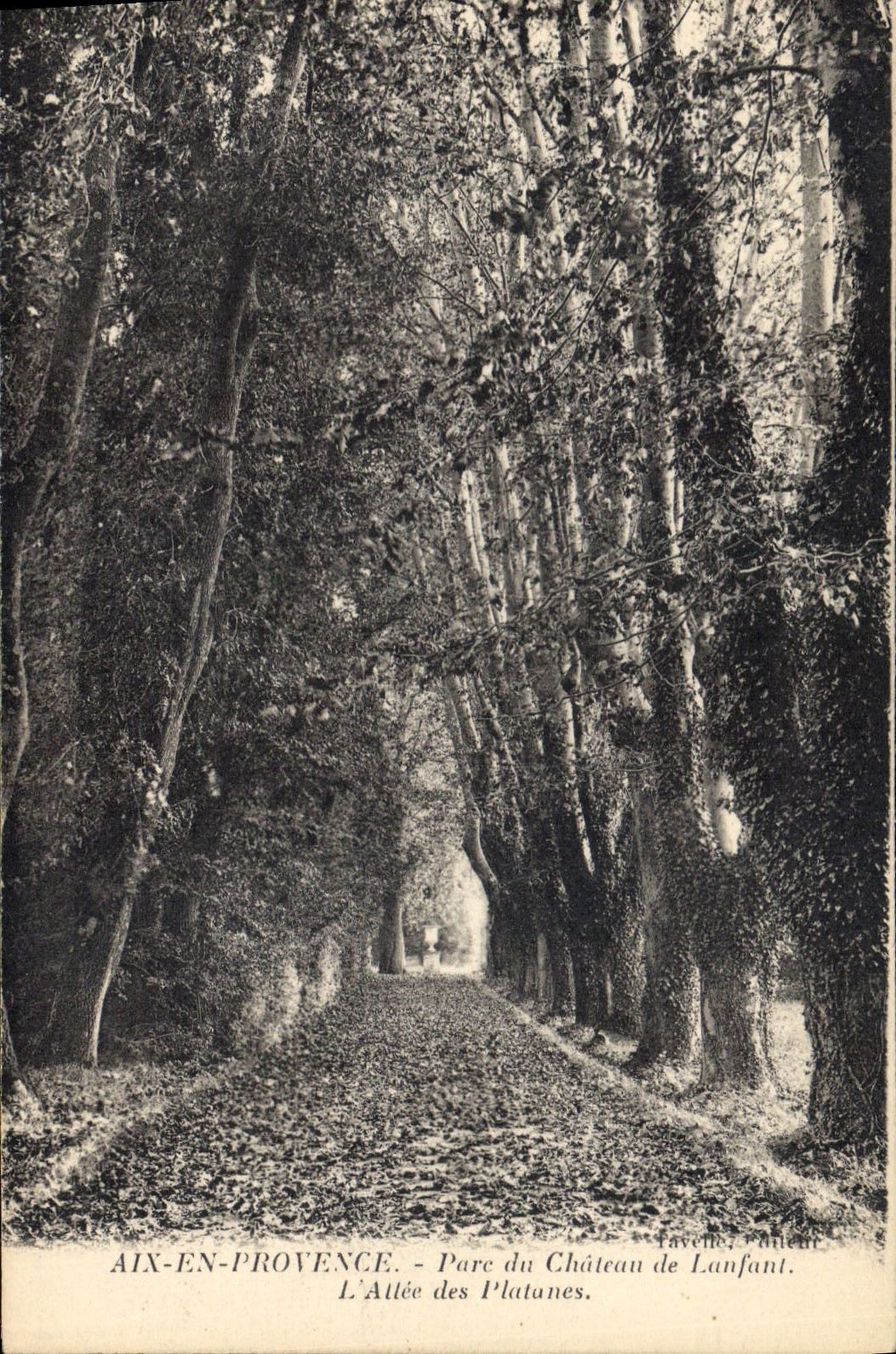 Aix-en-Provence — L'Allée des Platanes — Pare du Château de Lanfant — Faveille, Potellet