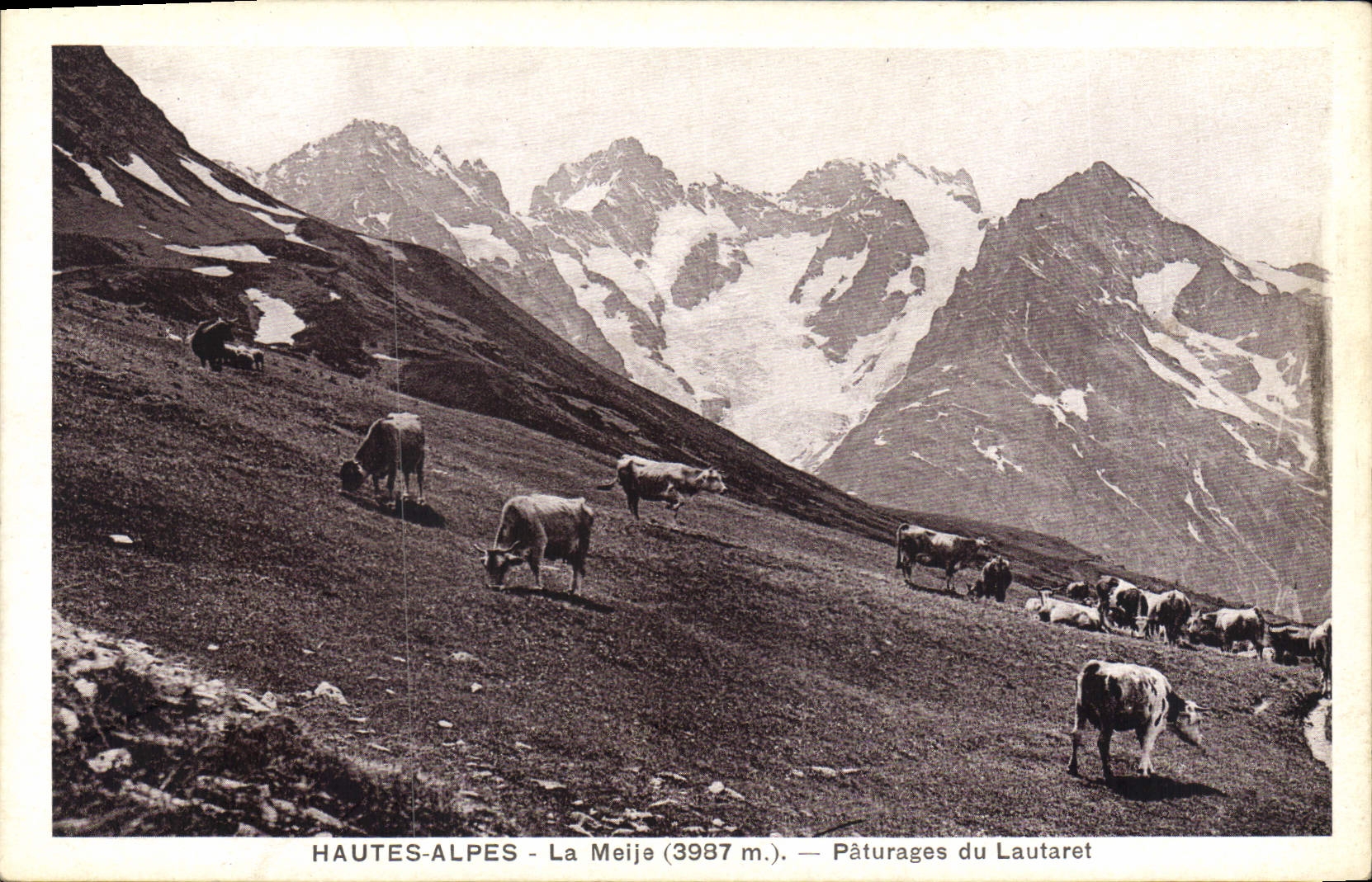 HAUTES-ALPES - La Meije (3997 m.) — Pâturages du Lautaret