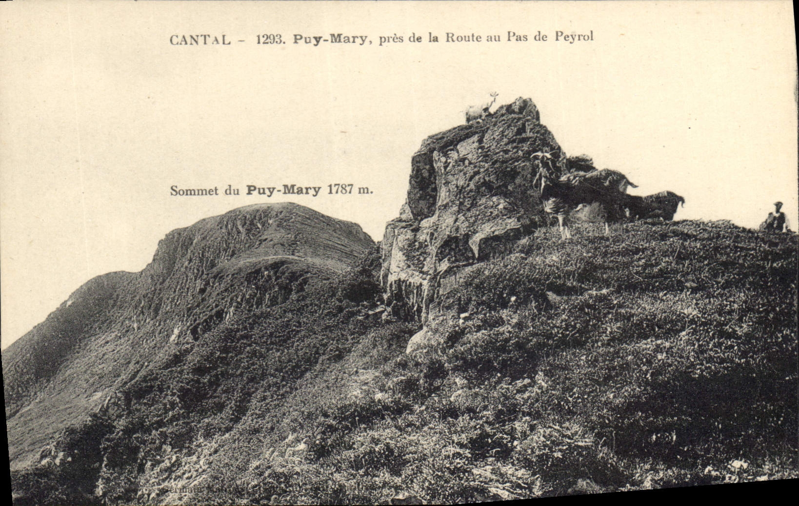 Puy-Mary — sommet 1787 m — Cantal 1293