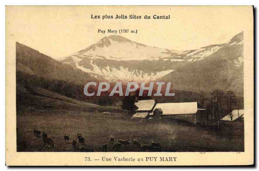 CPA Les Plus Jolis Sites du Cantal Puy Mary une Vacherie au Puy Mary 