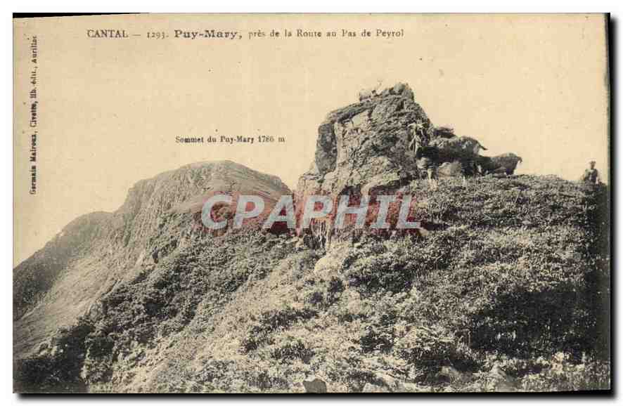 CPA Cantal Puy Mary pres de la Route au Pas de Peyrol Chevre