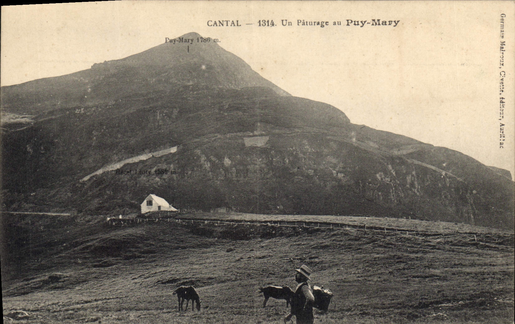 CPA Cantal Un Paturage au Puy Mary 