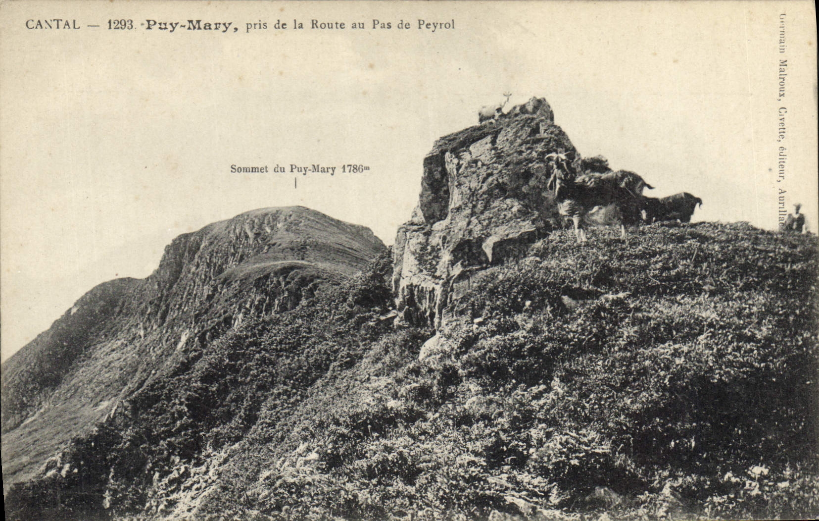 CPA Cantal Puy Mary pris de la Route au Pas de Peyrol 